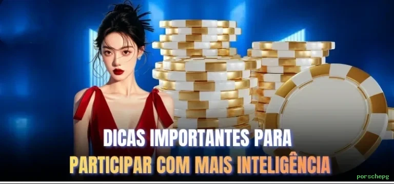 Interface porschepg